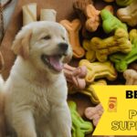 The Essential Guide to Best Pet Supplies in 2023